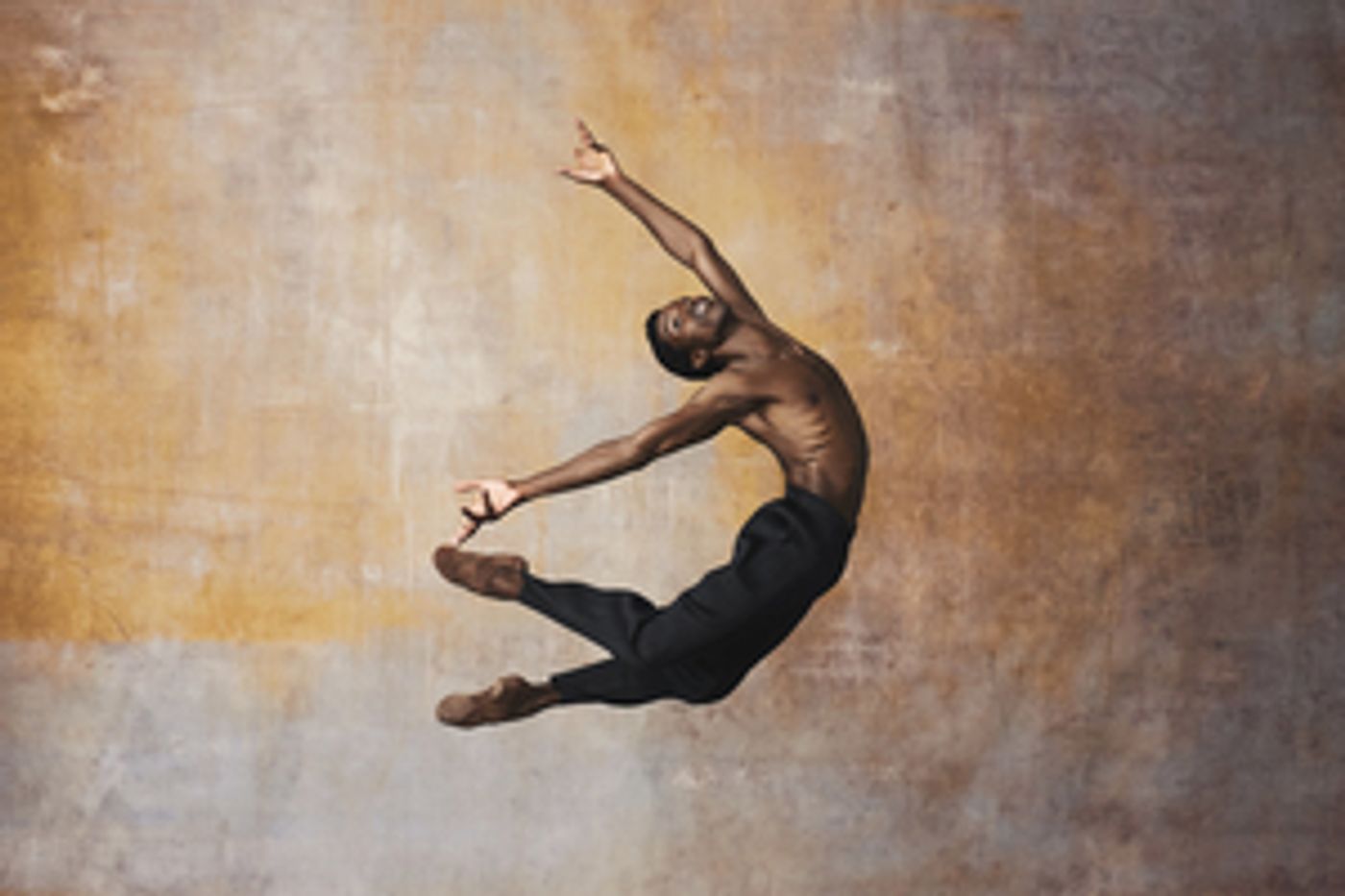 American Ballet Theatre To Host Post-Performance Panel On World Premiere Work LIFTED, October 29  Image