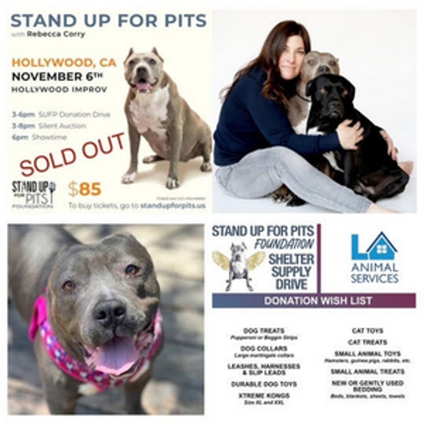 Rebecca Corry Stands Up For Pits At Hollywood Improv  Image