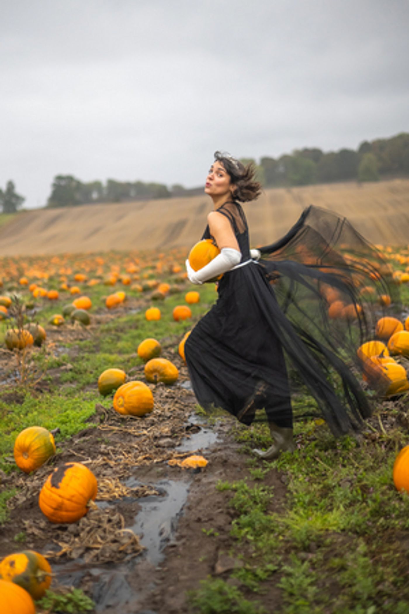 Cast Announced For New Musical Adaptation Of CINDERELLA At Dundee Rep  Image