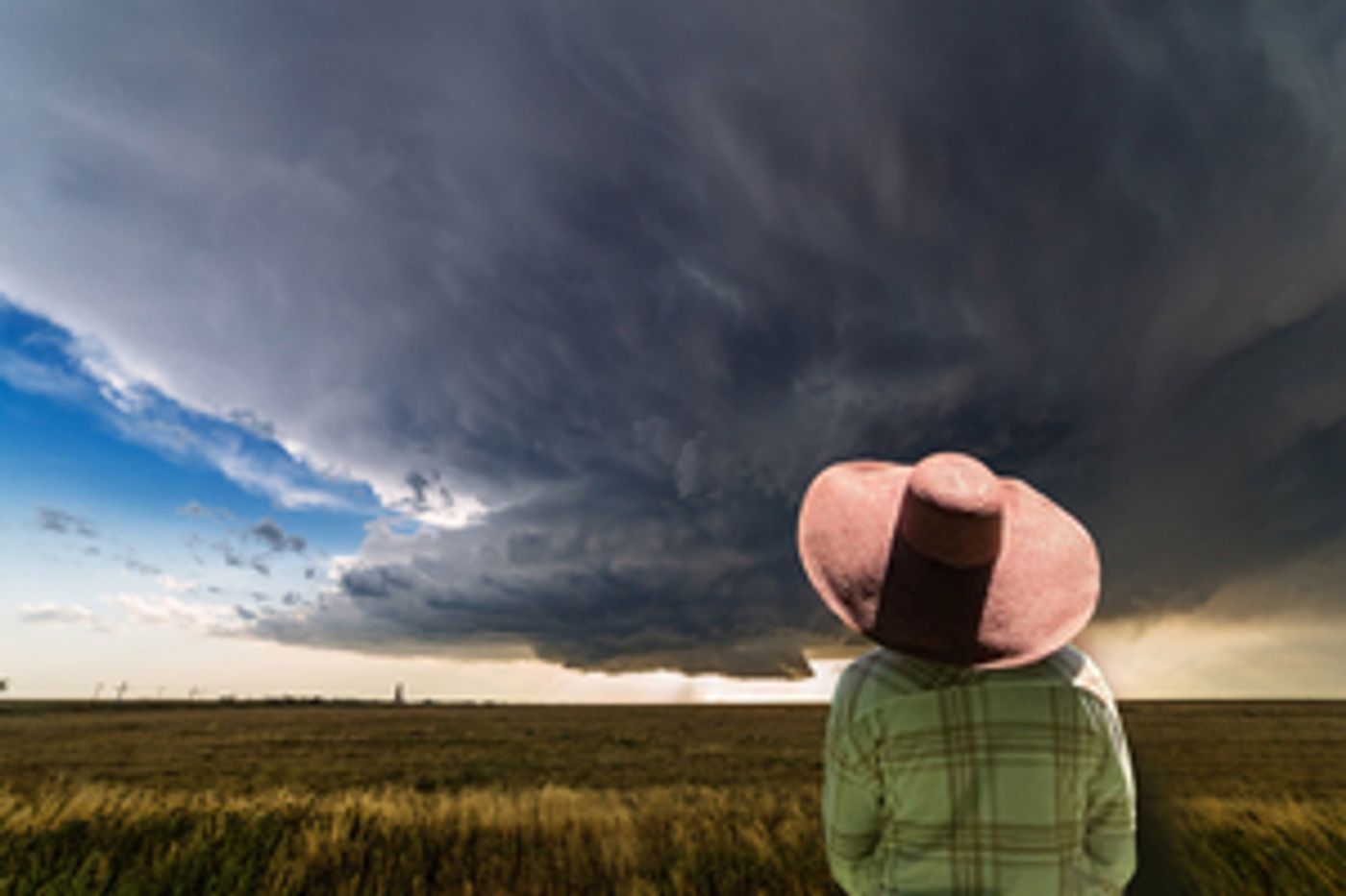 1st Stage Presents THE RAINMAKER This Month  Image