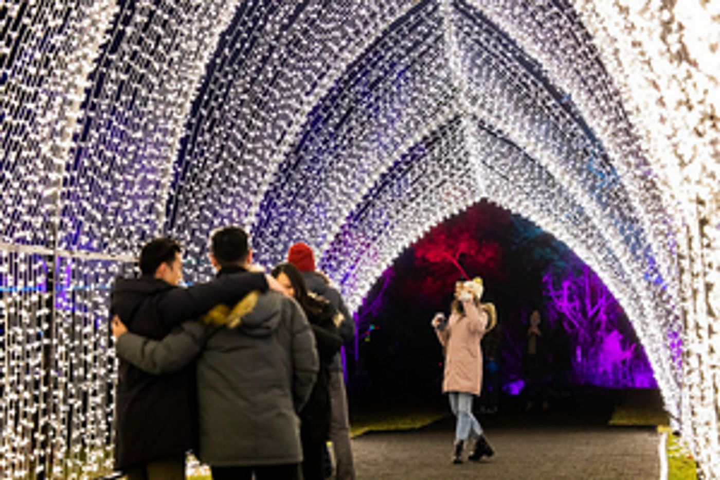LIGHTSCAPE At Brooklyn Botanic Garden Returns November 16, 2022  Image