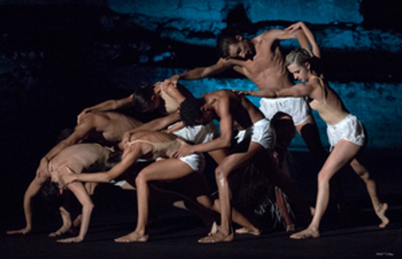 Dance Now Presents Contemporary NUTRACKER & Italy's Opus Ballet December 10  Image