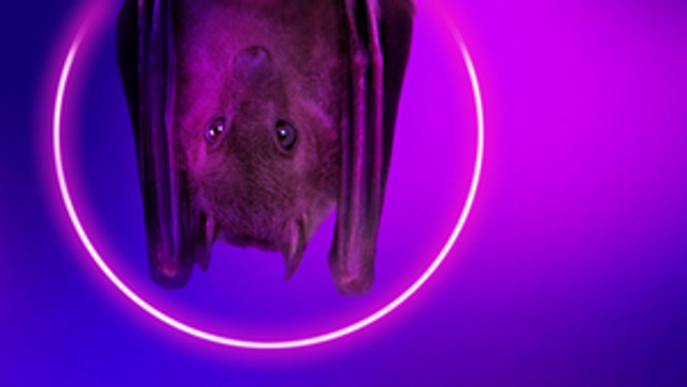 Lydia West Will Lead the UK Premiere of A PLAY FOR THE LIVING IN A TIME OF EXTINCTION  Image