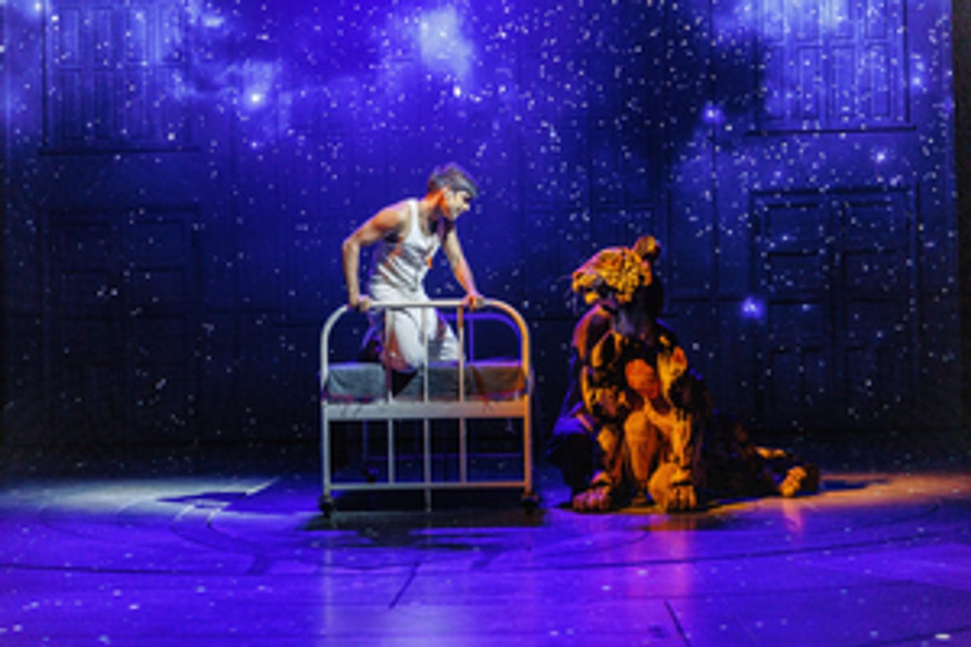 LIFE OF PI Will Embark on UK and Ireland Tour in August 2023  Image