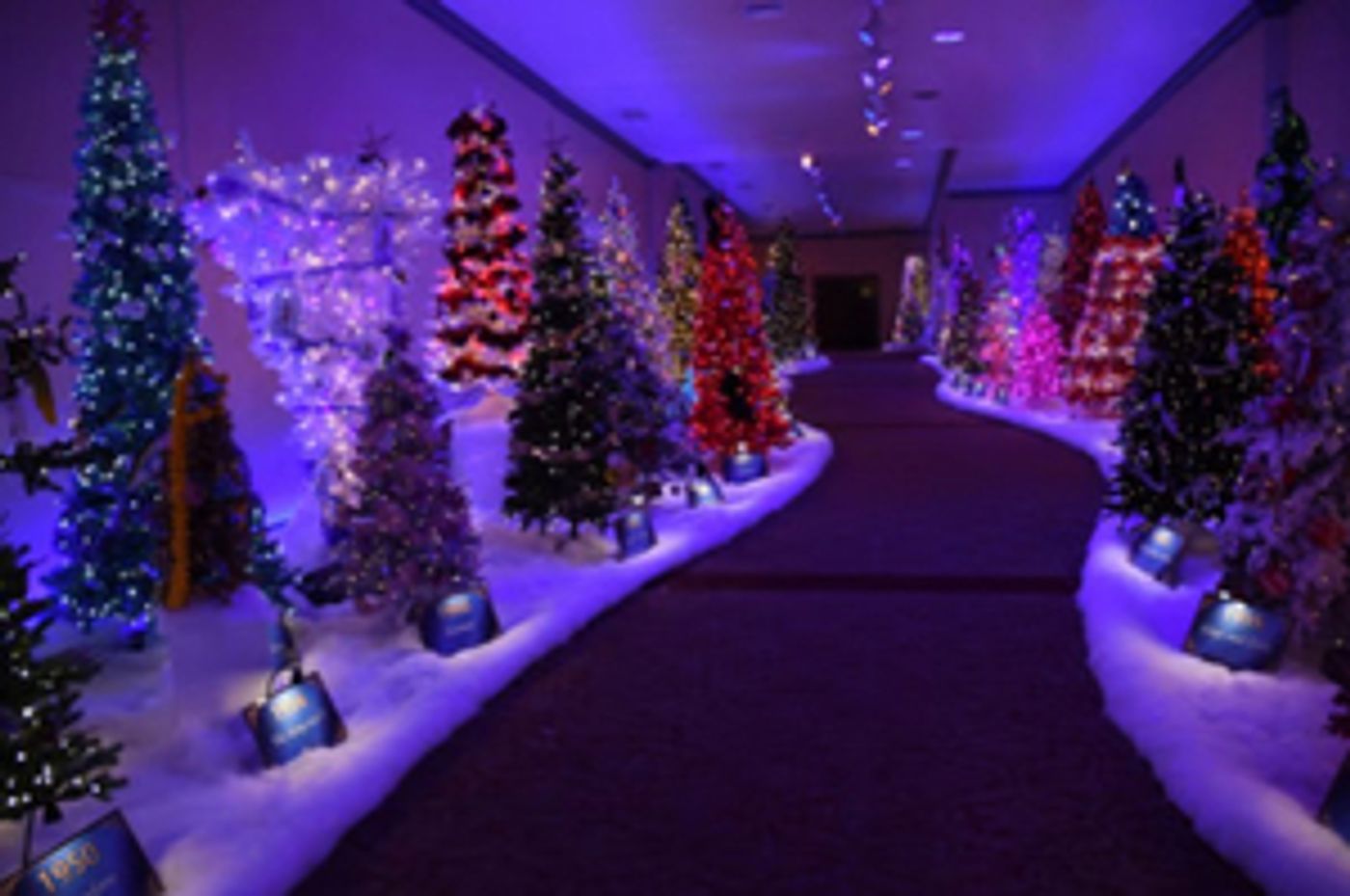 Be a Part of Pittsburgh CLO's A MUSICAL CHRISTMAS CAROL Holiday Tree Tradition  Image