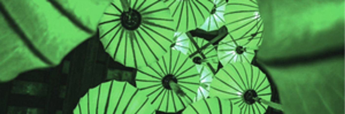 Museum Of The Home Marks Green Lunar New Year, January 2023  Image