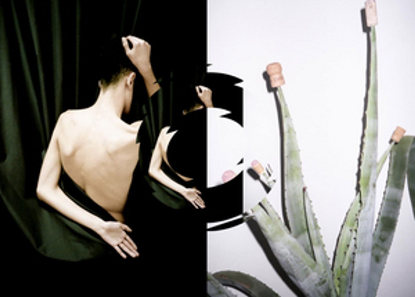 ERNANI Closes This Weekend at Opera Ballet Vlaanderen  Image