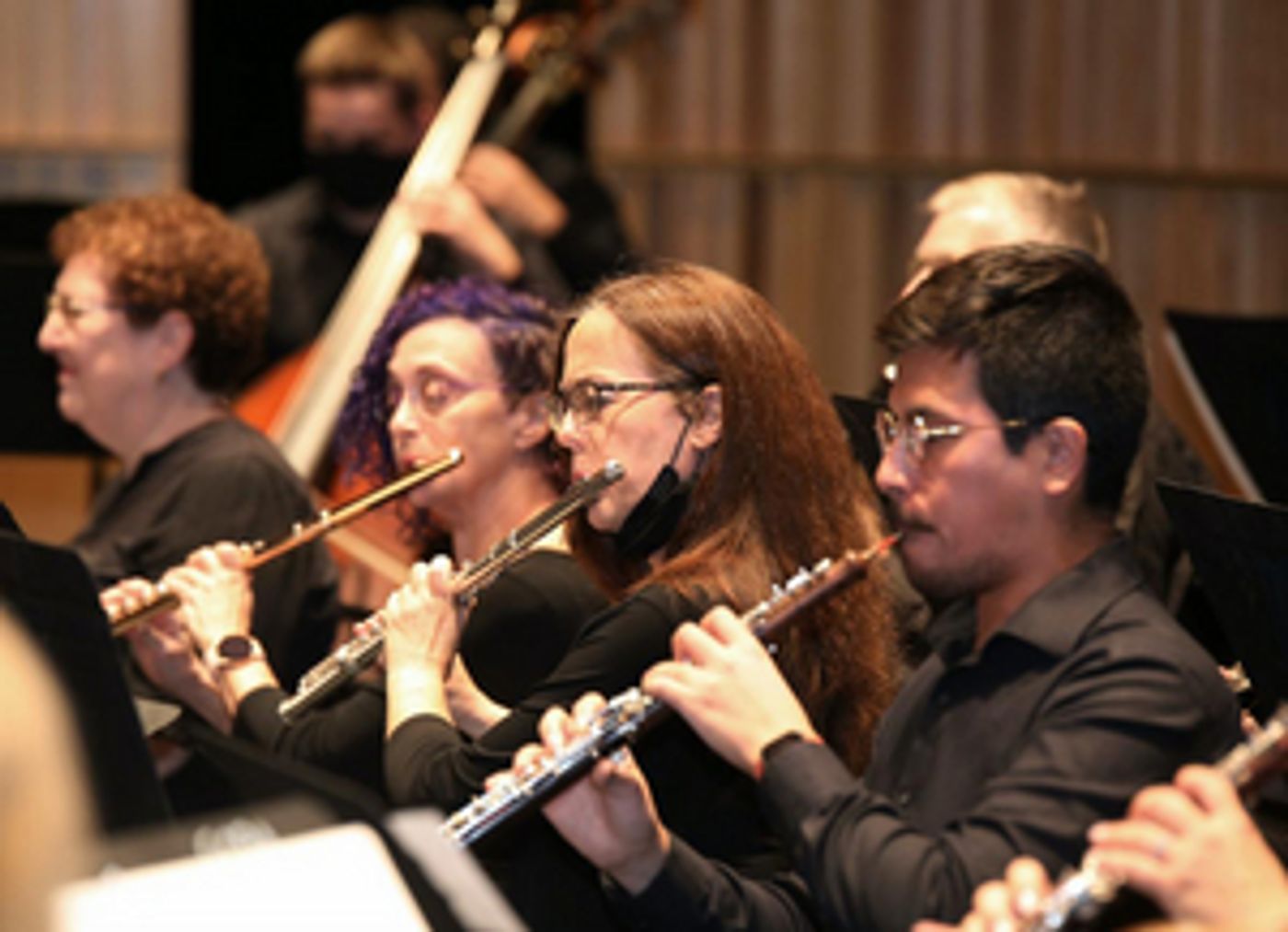 MusicaNova Orchestra Presents WINTER JOURNEY AND THE INEXTINGUISHABLE SYMPHONY. January 22  Image