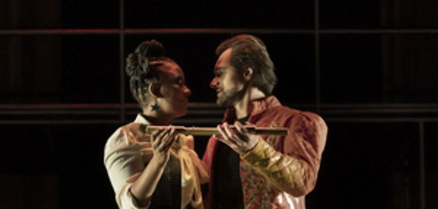 THE MAGIC FLUTE is Now Playing at Theater St. Gallen Image