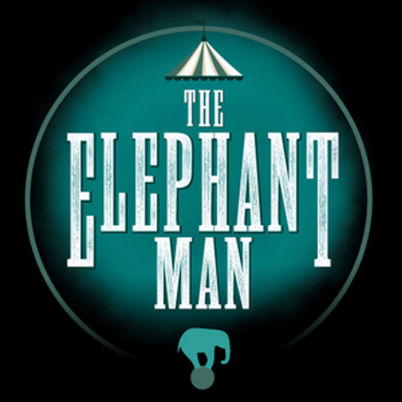 THE ELEPHANT MAN Cast Announced At Theatre Three  Image