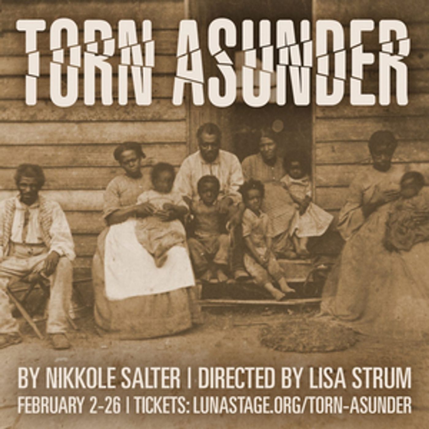 Nikkole Salter's TORN ASUNDER Opens At Luna Stage, February 2  Image