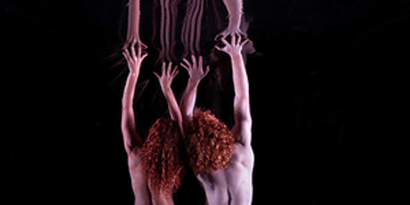 Dancenorth's RED Will Make QPAC Debut  Image