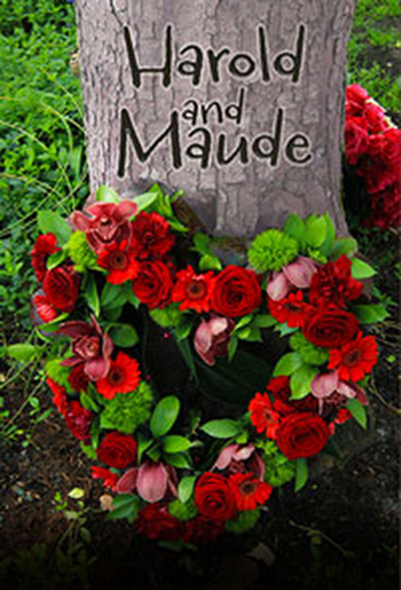 HAROLD AND MAUDE Comes to the Lonny Chapman Theatre in February  Image