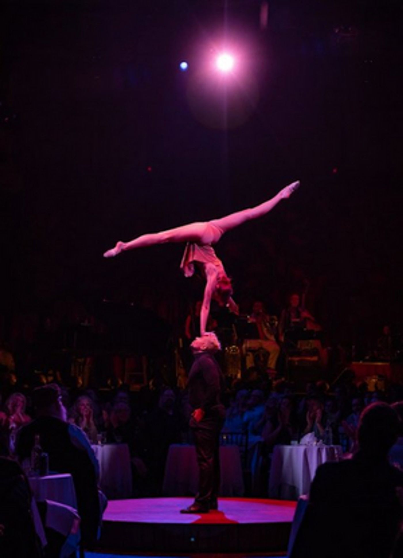 Acrobatic Duo Added To Teatro ZinZanni's Cast of COMING HOME  Image