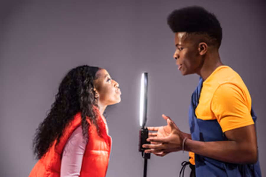 Review: BIRDS AND BEES, Tanya Moiseiwitsch Playhouse Image