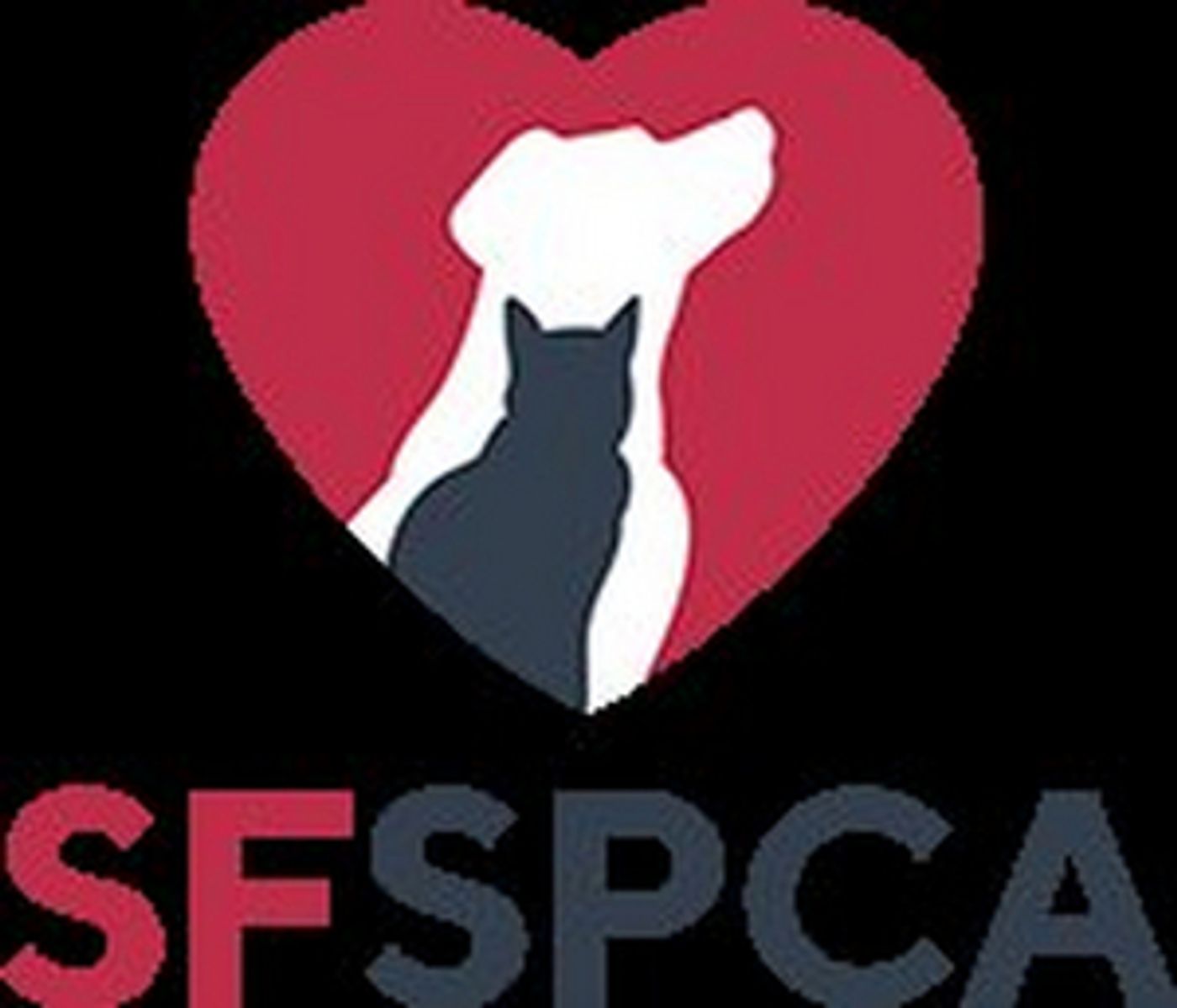 San Francisco SPCA Kicks Off 155th Anniversary With Community Open House And Adoption Event  Image