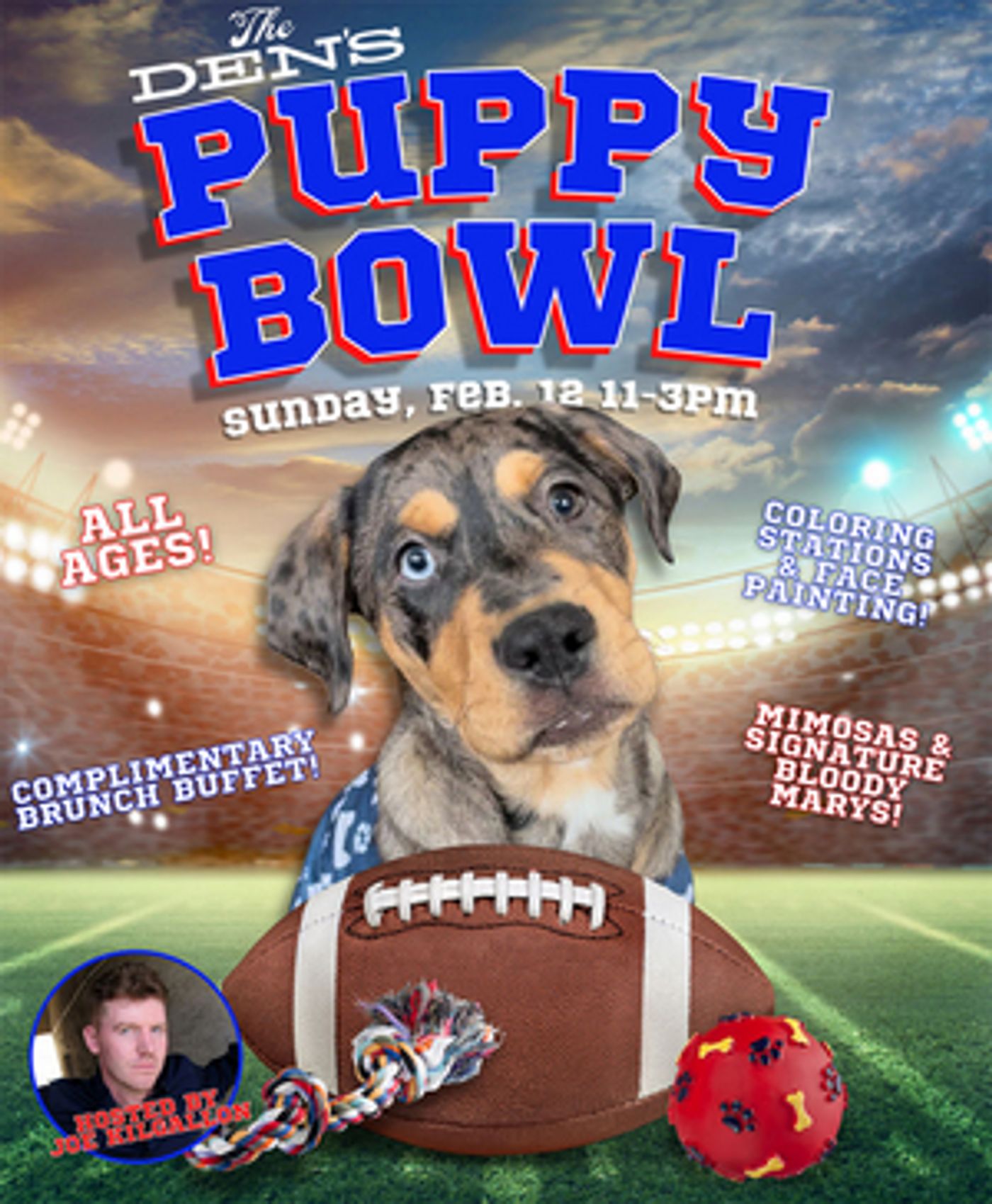 The Den Theatre to Partner With The Anti-Cruelty Society for its First-Ever Puppy Bowl  Image