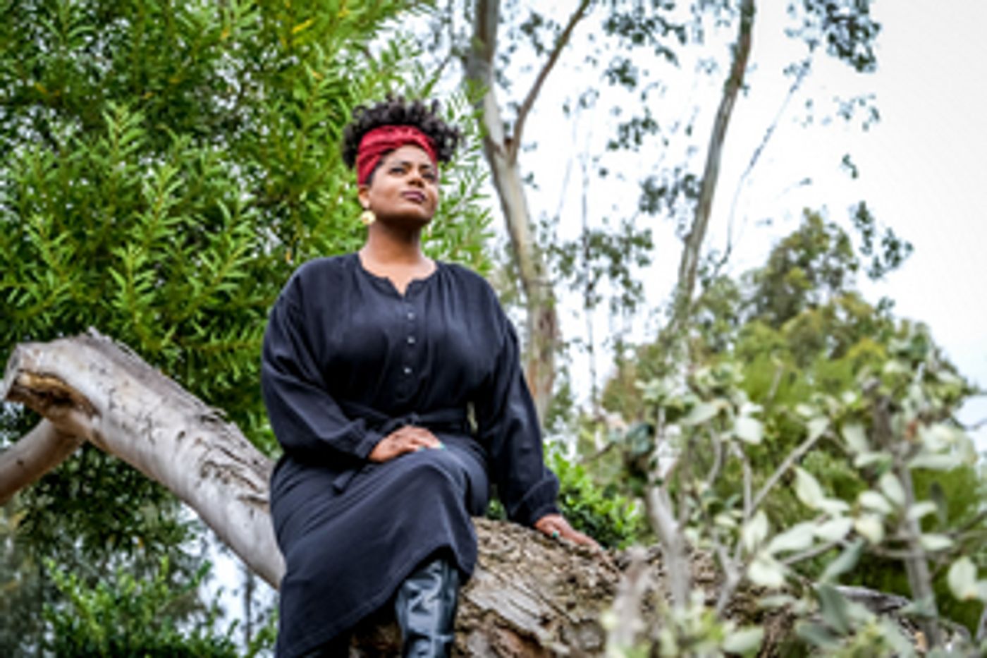 NEAT Comes to Scripps Ranch Theatre Next Month  Image