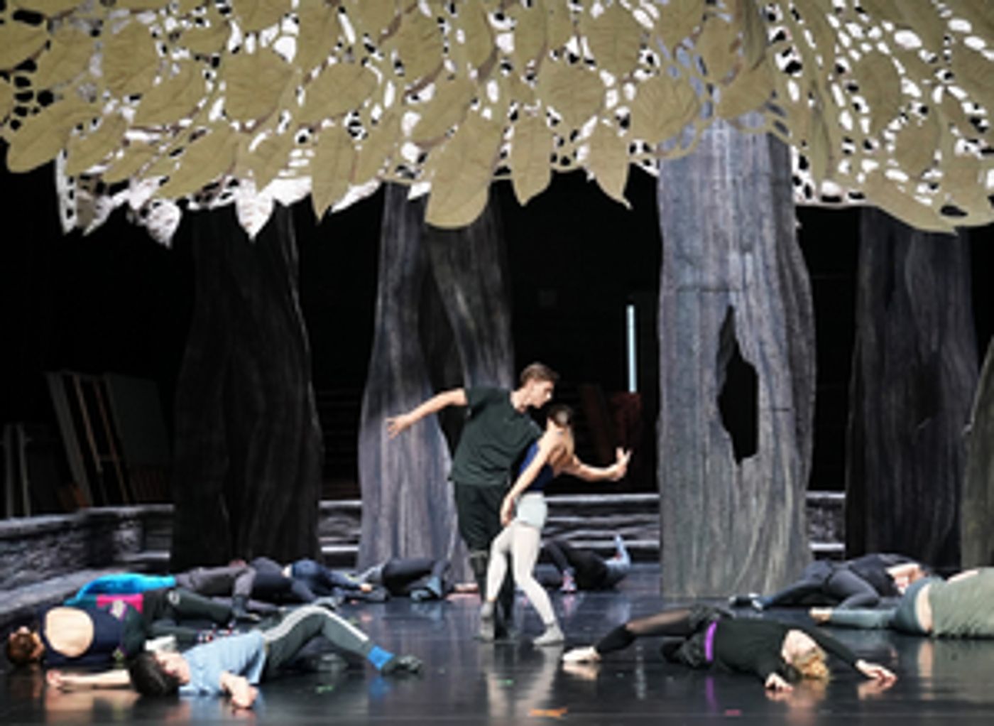Hungarian State Opera Presents THE WOODEN PRINCE  Image