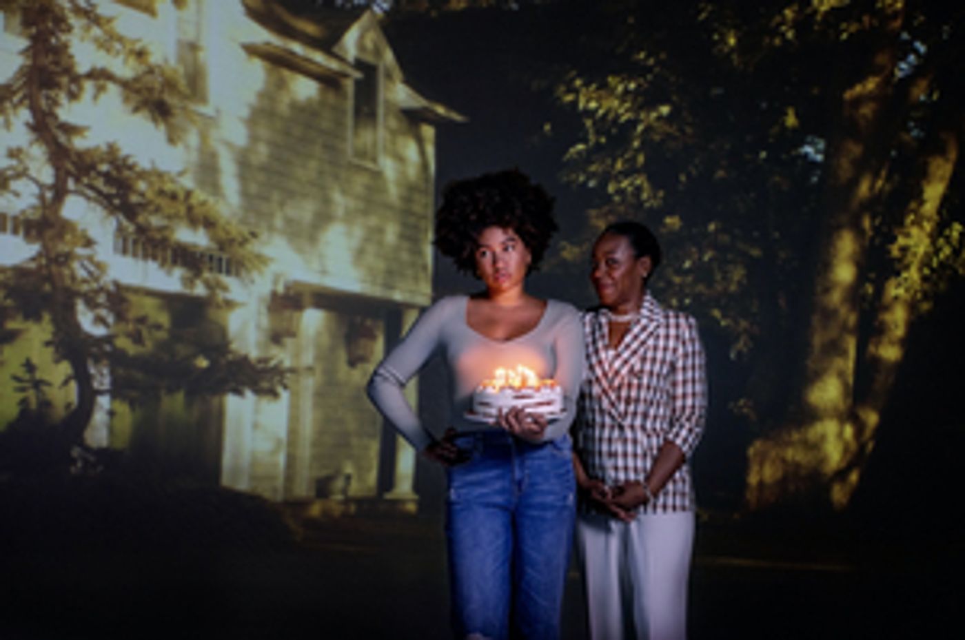 Canadian Stage and Obsidian Theatre Present the 2019 Pulitzer Prize Winner  for Drama FAIRVIEW  Image