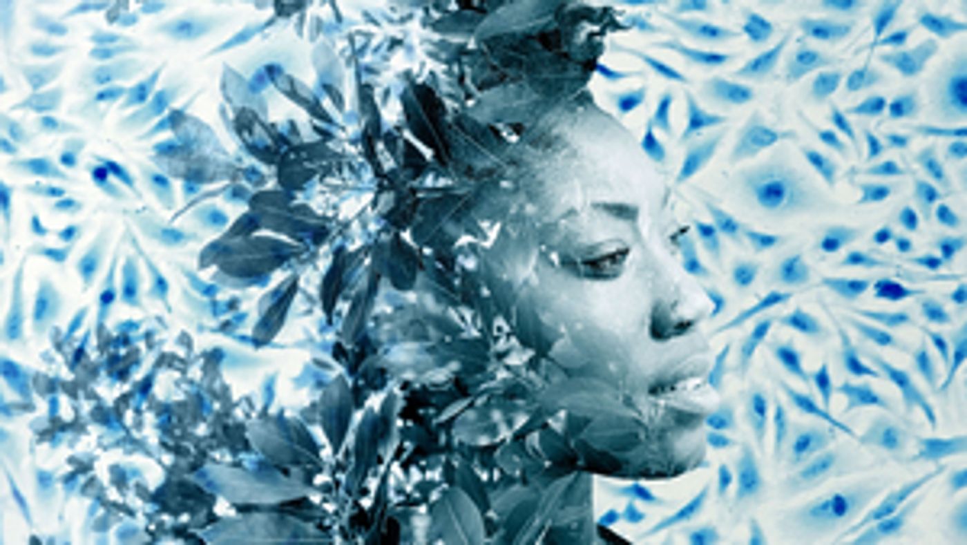 FAMILY TREE Cast Announced  Image