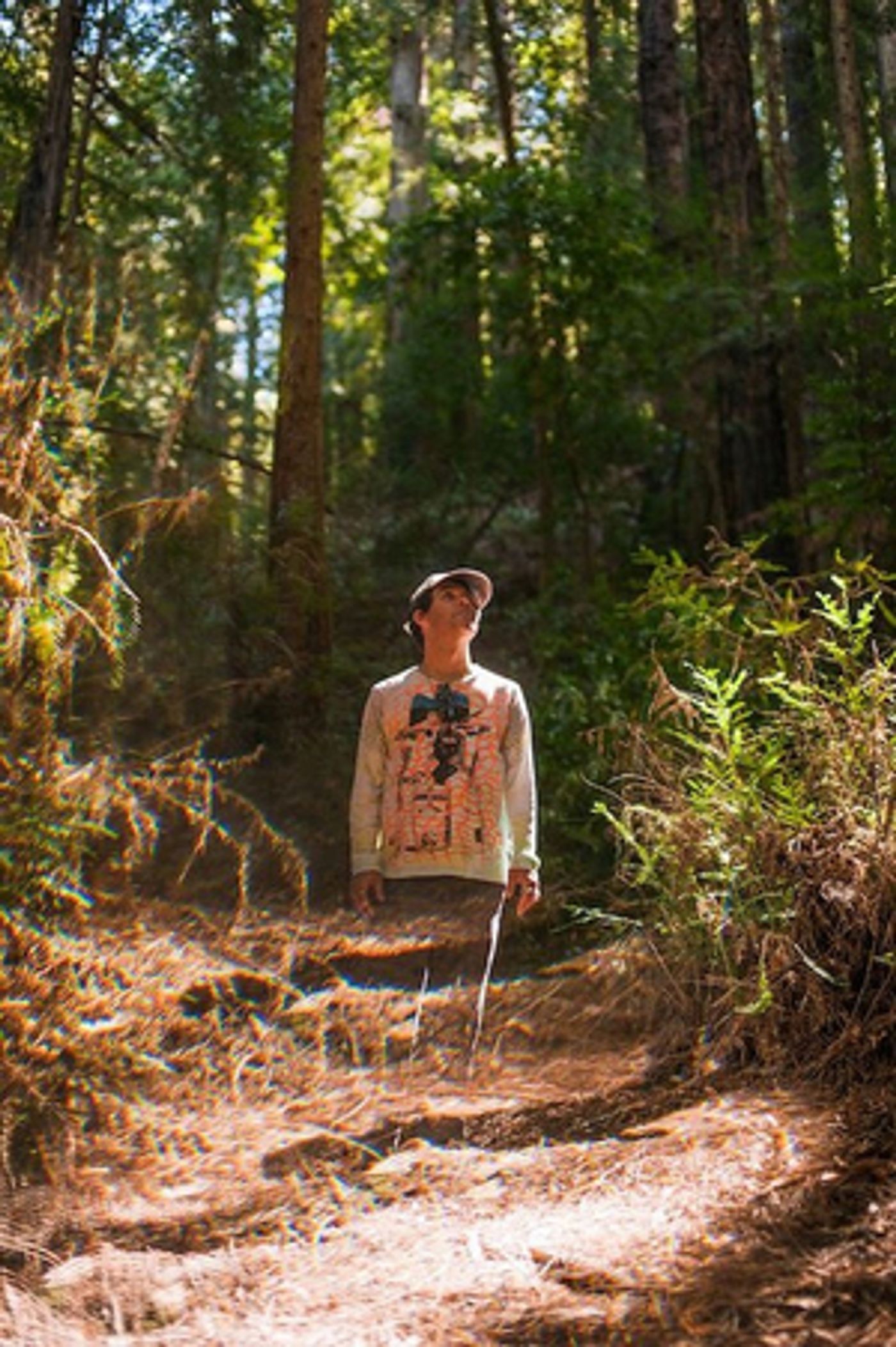 VIDEO: Avey Tare Shares New Video 'Invisible Darlings'  Image