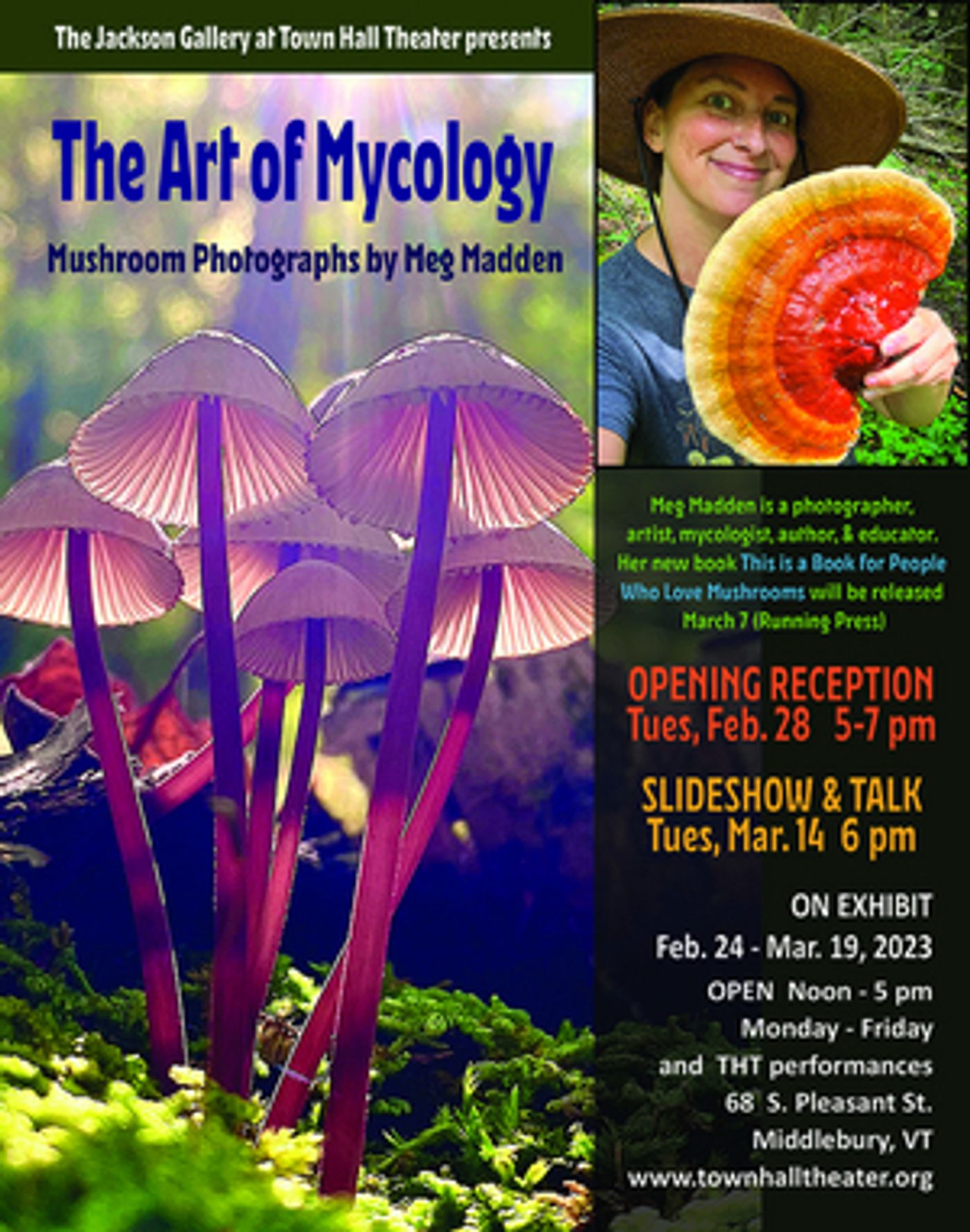 The Art of Mycology: Mushroom Photographs by Meg Madden Comes to the Jackson Gallery at Town Hall Theater  Image