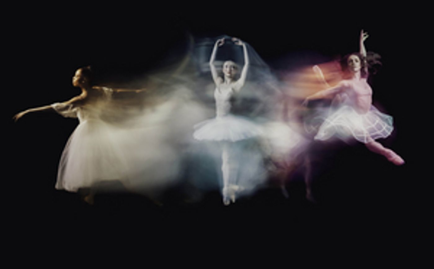 Nashville Ballet Announces 2023-24 Season  Image