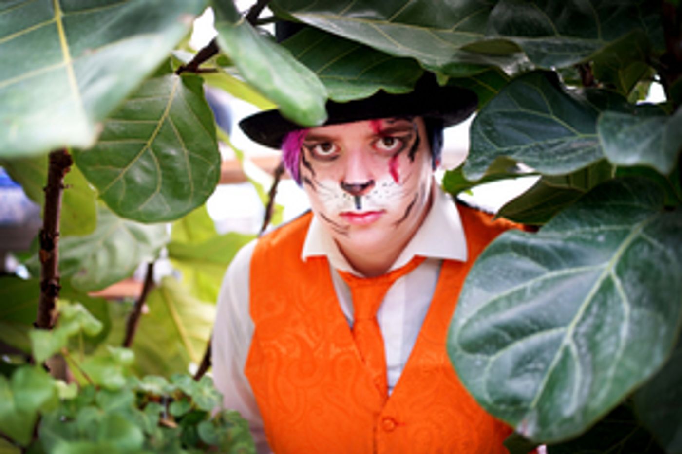 Stagecrafters Youth Theatre Presents THE JUNGLE BOOK Next Month  Image