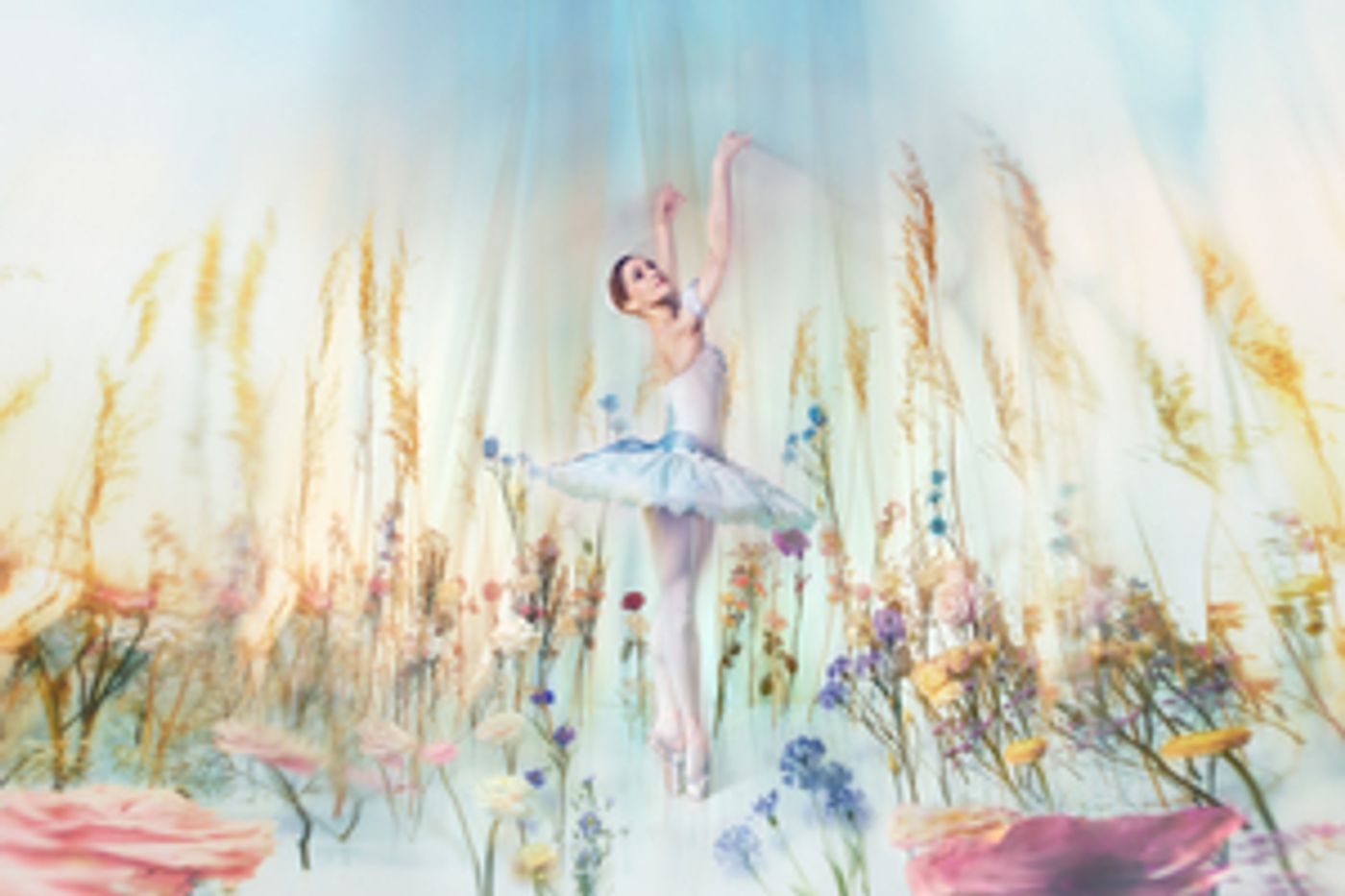 The Royal Ballet's CINDERELLA Celebrates its 75th Anniversary and a New Production  Image