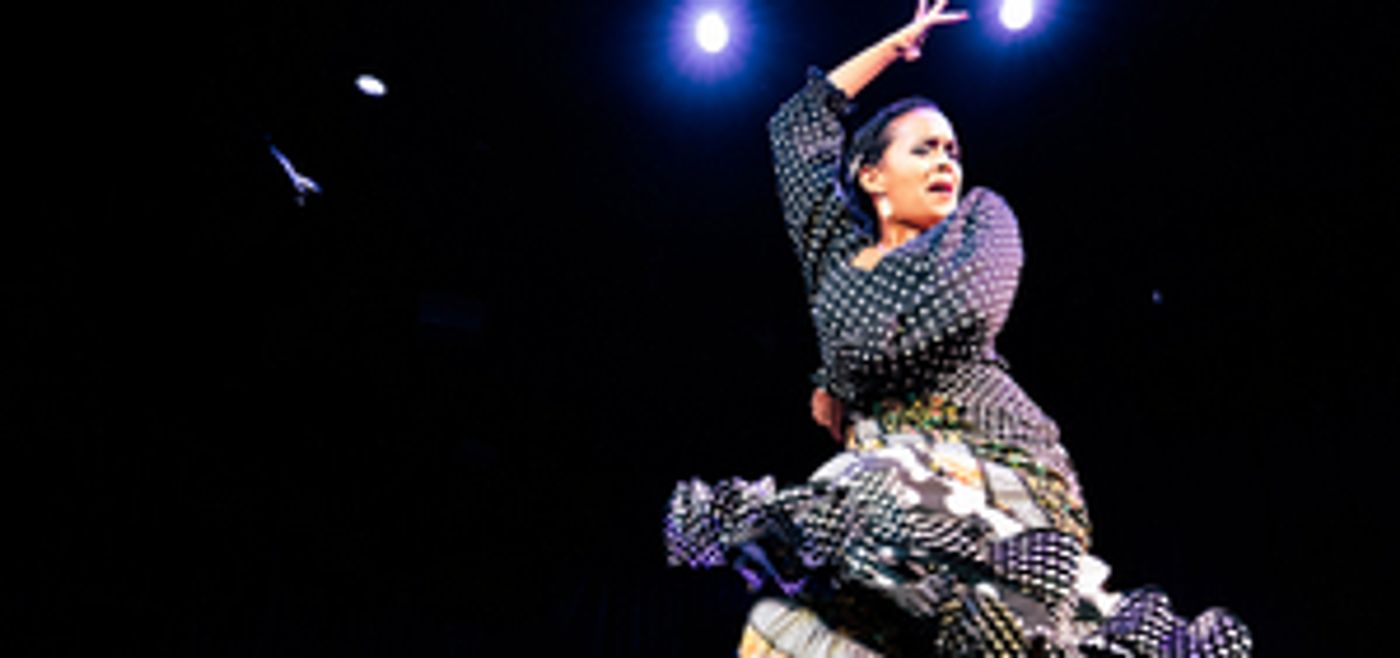 The Lisa Smith Wengler Center for the Arts Presents Flamenco Vivo Carlota Santana in FRONTERAS  Image