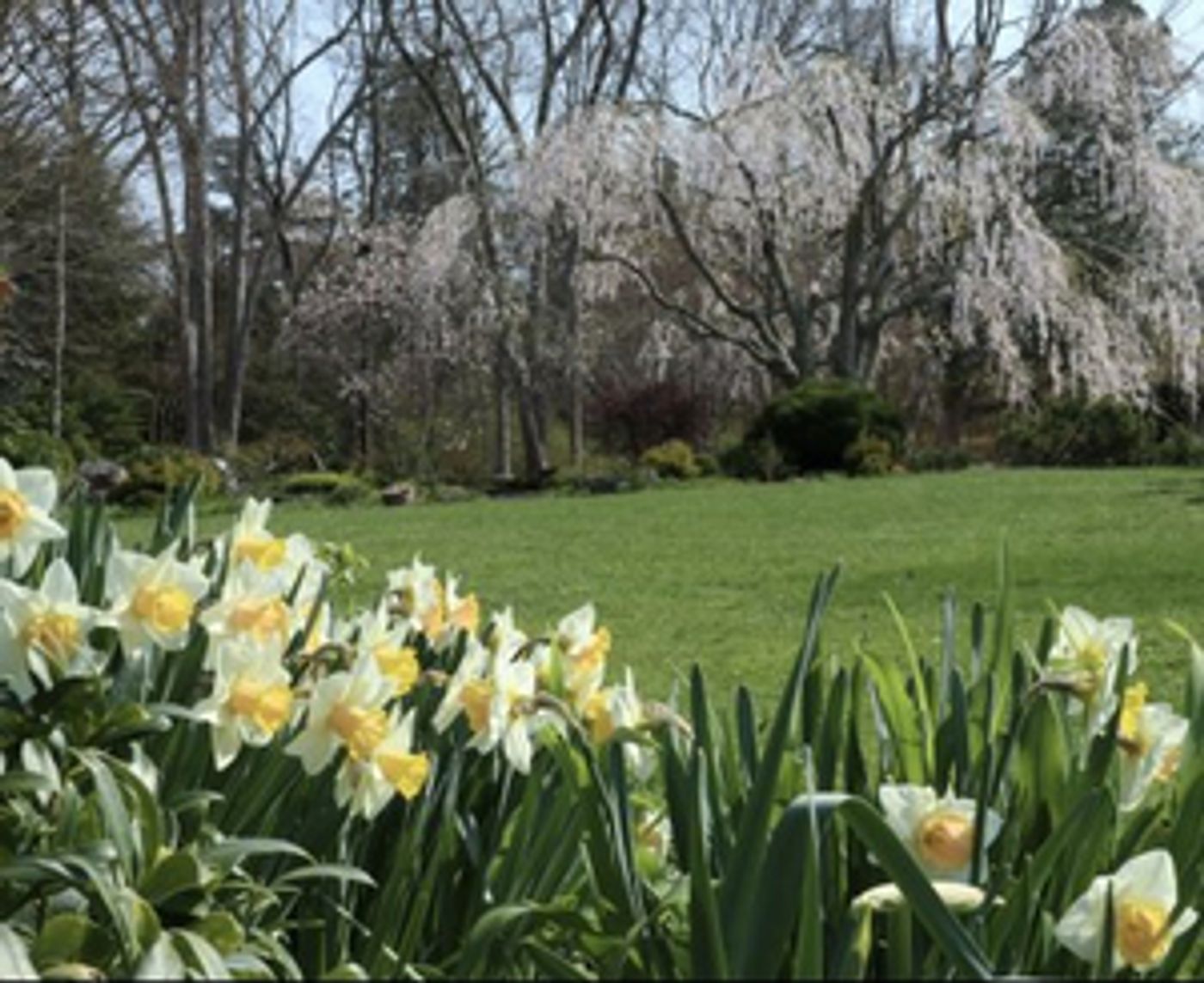 LongHouse Reserve Will Open For 2023 Season  Image