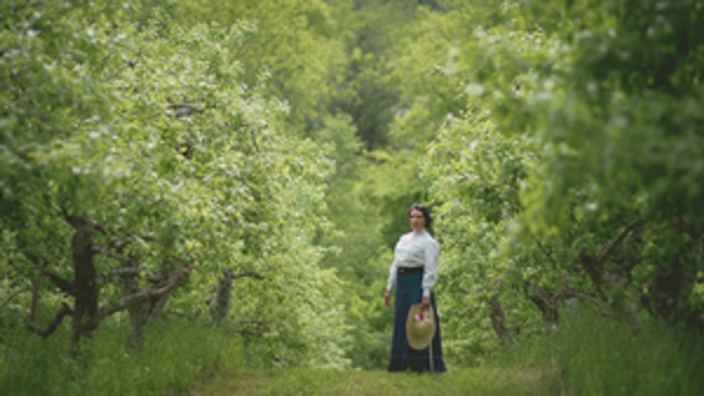 The Guerillas Drop a New Album and World Premiere Film!  Image