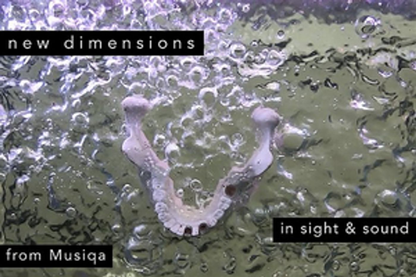 Musiqa Brings WEATHER MODELS to the Stage  Image