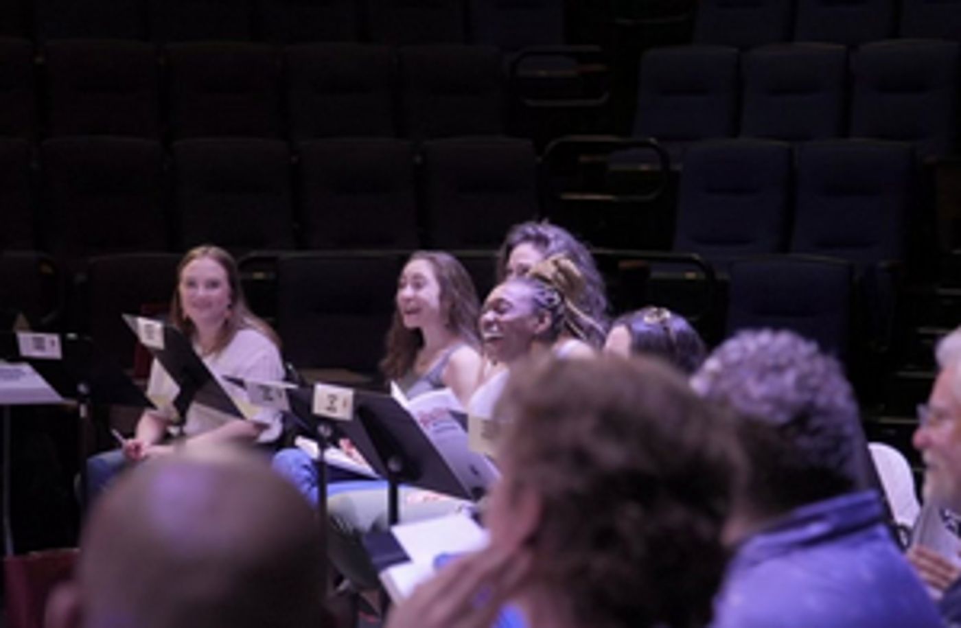 American Stage's RAGTIME IN THE PARK Cast Announced  Image