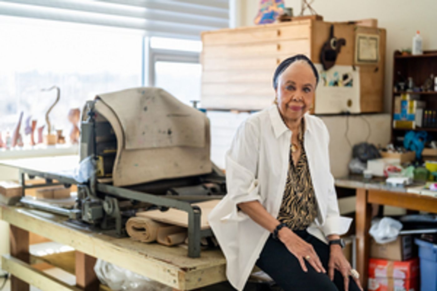 The Jo-Anne Bates Reading Room To Include Works From The AWAACC Permanent Collection  Image