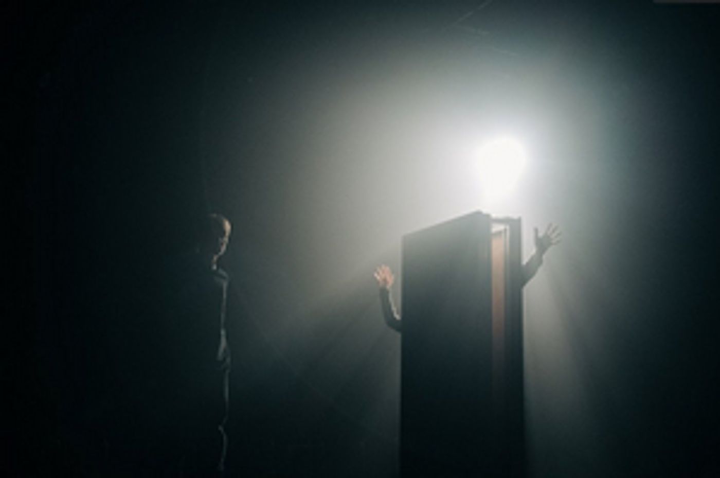 BECAUSE YOU NEVER ASKED Comes to MAI in April  Image