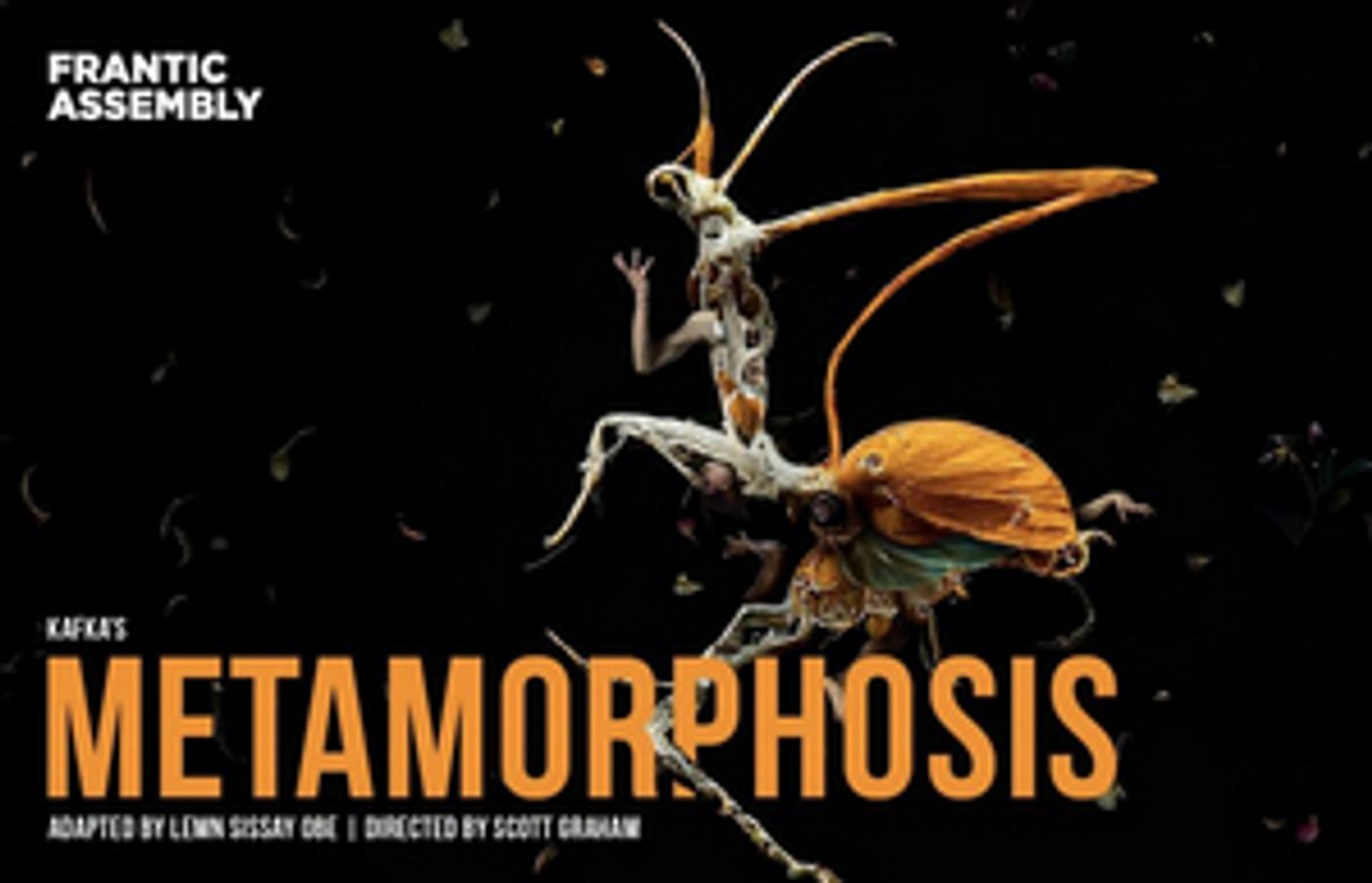 Tour Dates Announced For Frantic Assembly's Adaptation of Franz Kafka's METAMORPHOSIS  Image