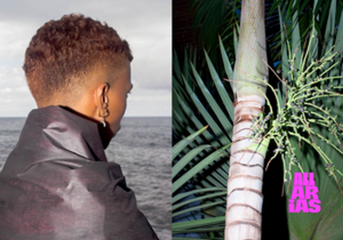 CRUSADE Comes to Opera Ballet Vlaanderen in April  Image