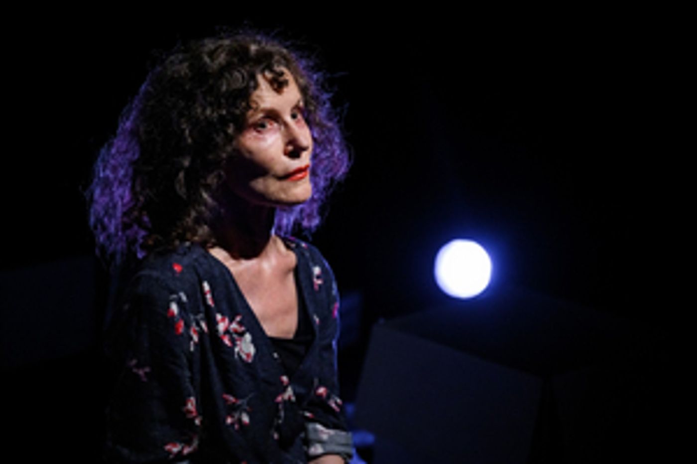 Prices Reduced For PUSSYCAT IN MEMORY OF DARKNESS at the Finborough Theatre  Image