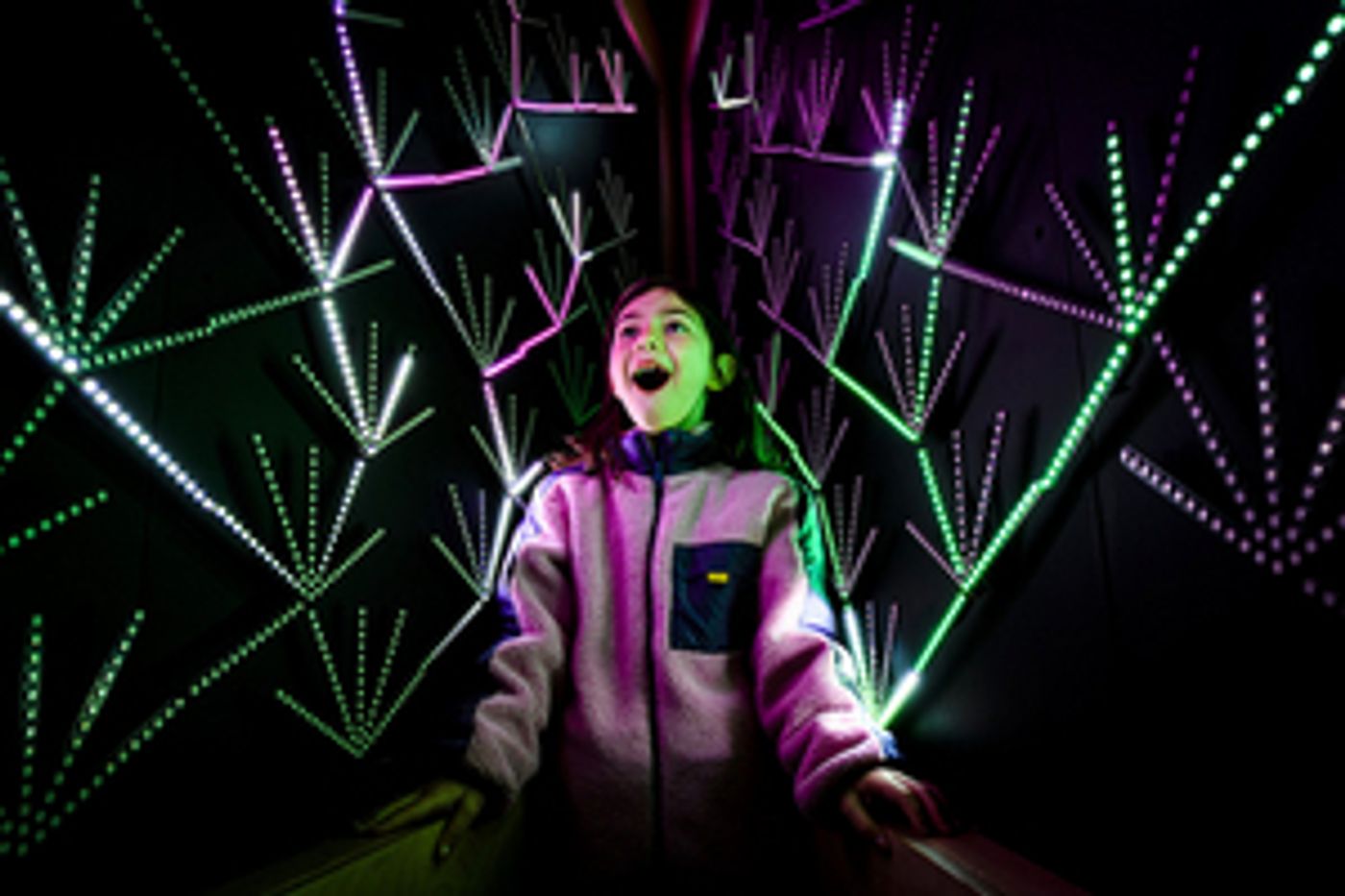 Edinburgh Science Festival 2023 Kicks Off This Weekend  Image
