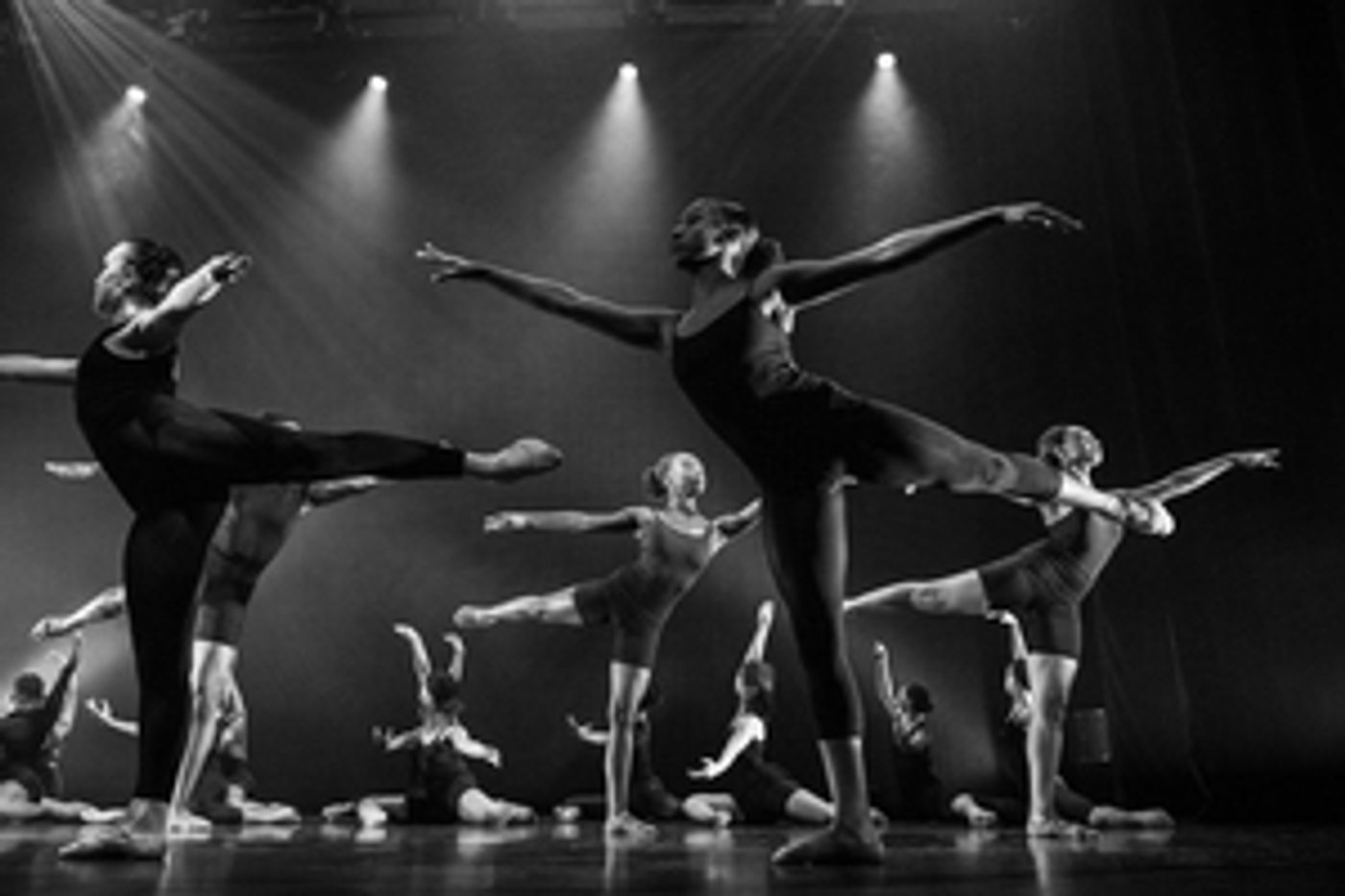 Deeply Rooted Hosts Dance Education Spring Showcase At Logan Center For The Arts This May   Image