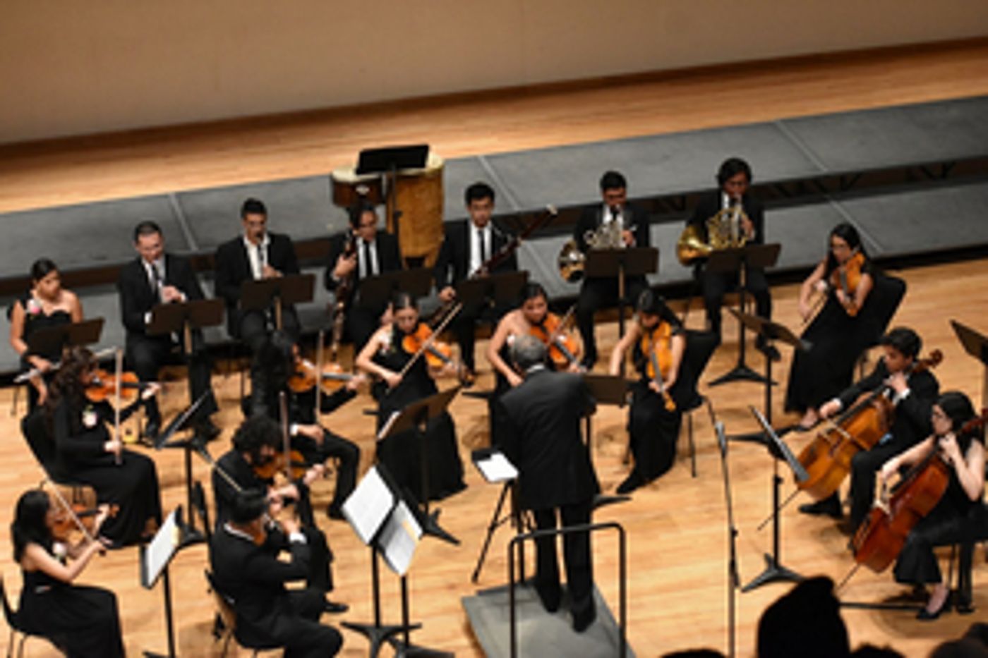 Celebró La Orquesta De Cámara Consortium Sonorum Su Séptimo Aniversario En El Cenart  Image