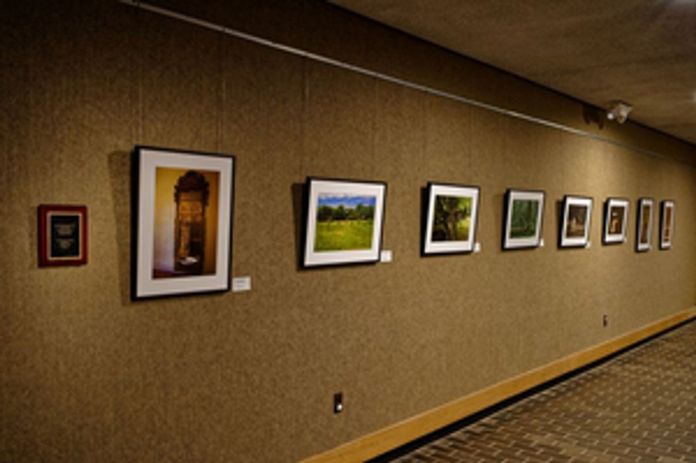 Xiomaro's Photography On Permanent Display At National Park In New Rotating Exhibit  Image