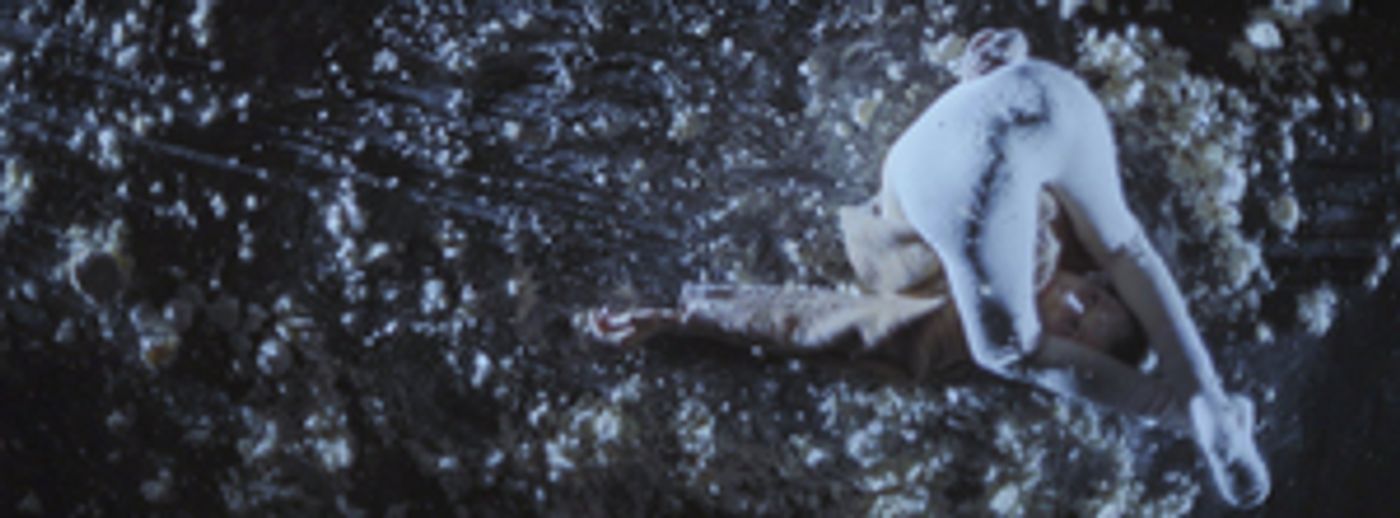 Birds Of Paradise Present New Film OBITS at Fruitmarket For One Week Only  Image