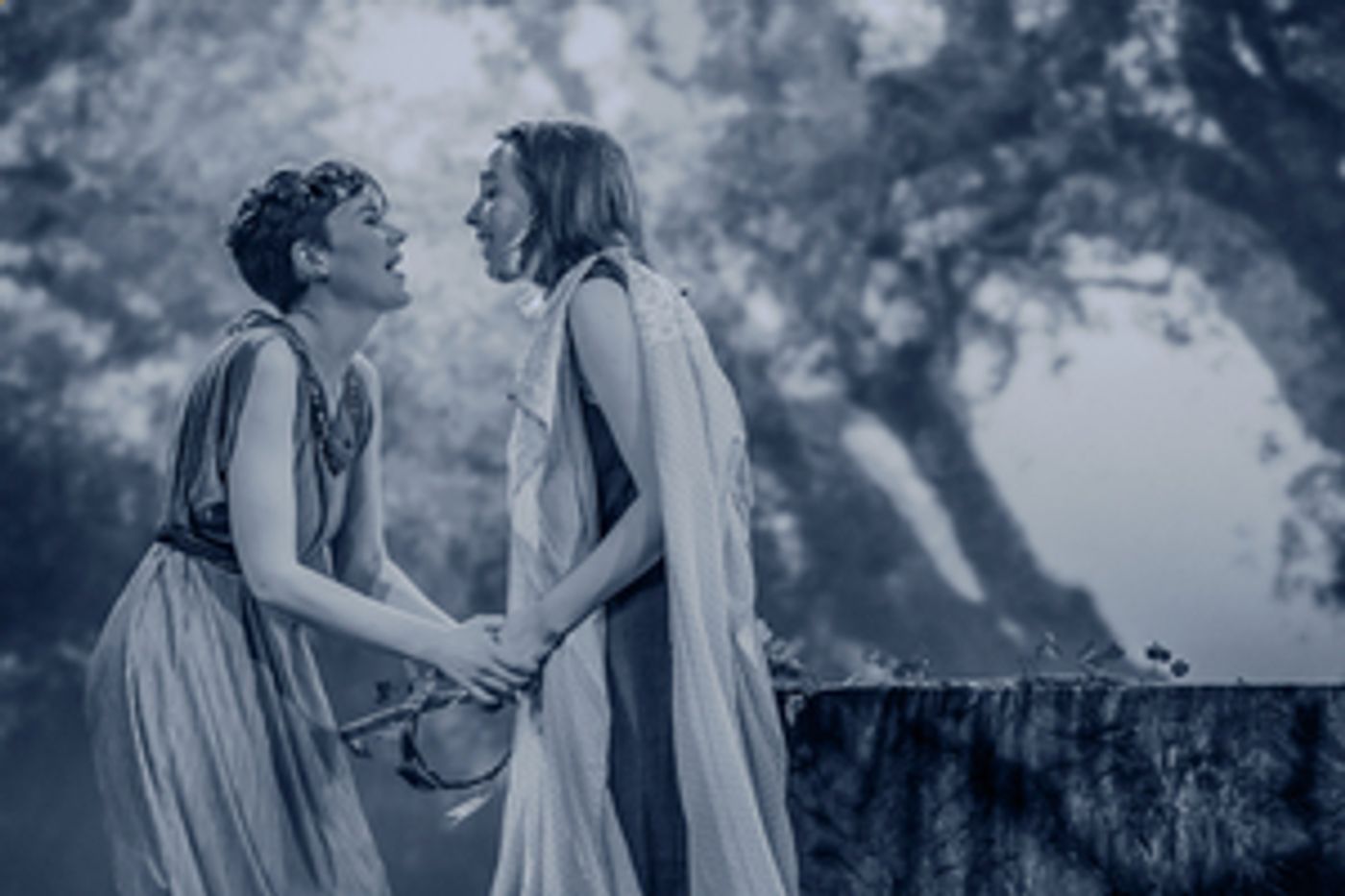 Canadian Opera Company Theatre Presents POMEGRANATE Is A Lesbian Love Story For The Ages  Image