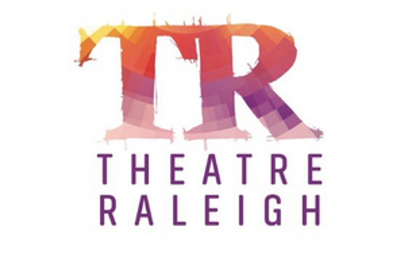 Single Tickets On Sale For Theatre Raleigh's THE WEIGHT OF EVERYTHING WE KNOW  Image