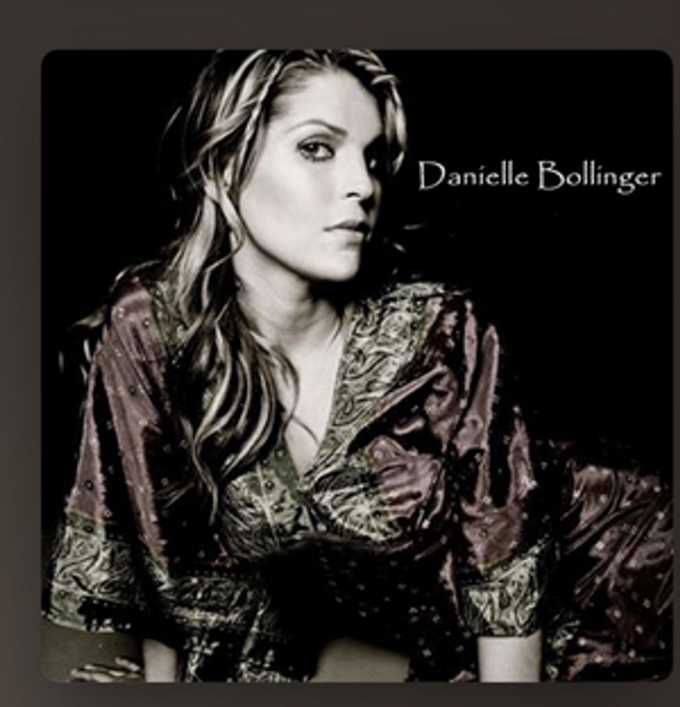 Danielle Bollinger with The Soggy Bottom Band performs at FIM's Flint Under the Stars  Image