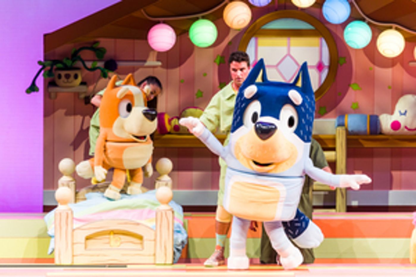BLUEY's First Live Stage Show To Raise Curtains In Theaters Across Canada!  Image