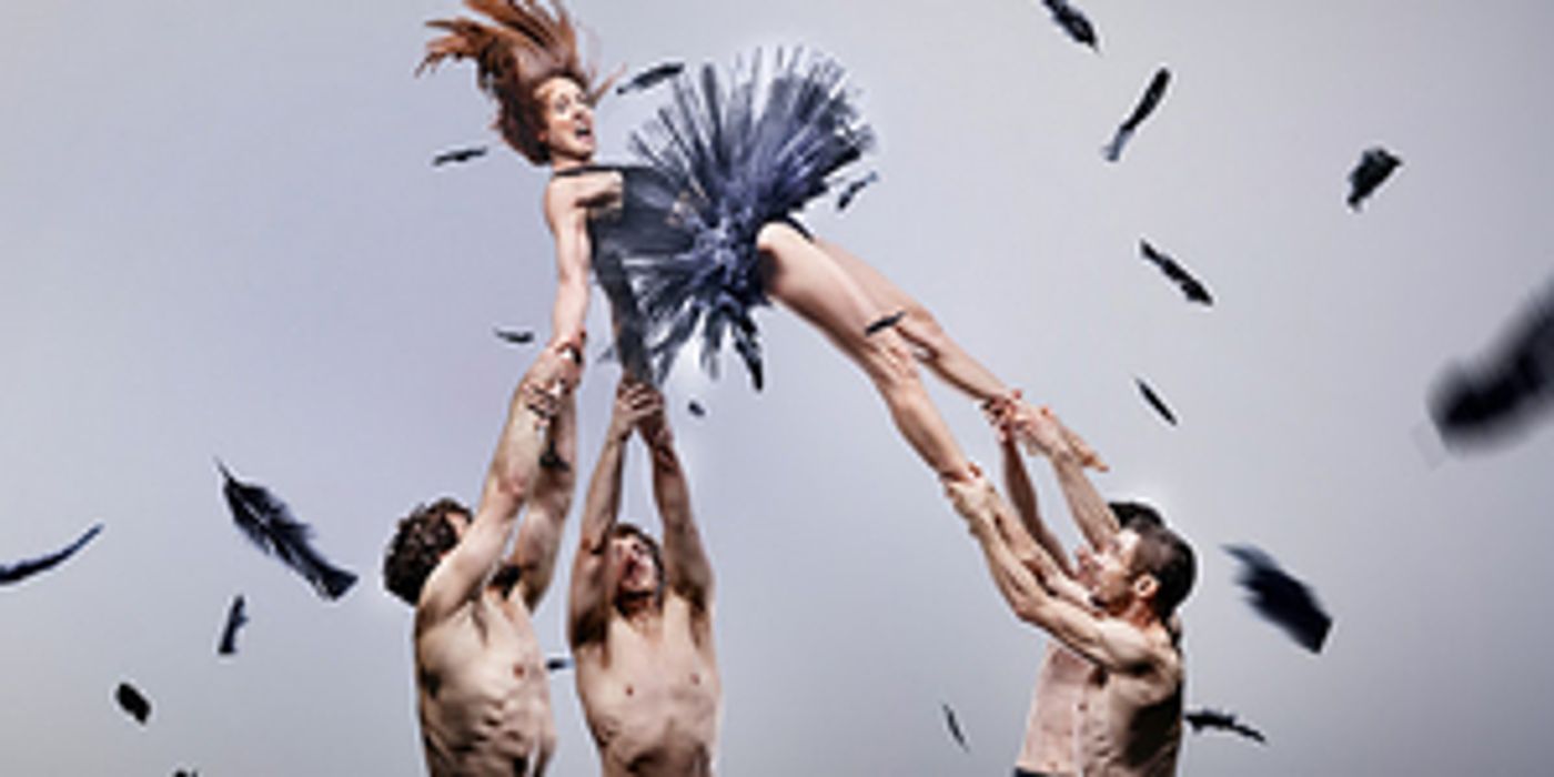 DUCK POND Comes to Queensland Performing Arts Centre in July  Image